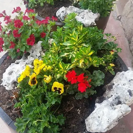 El Cuartelillo Viejo * Polientes