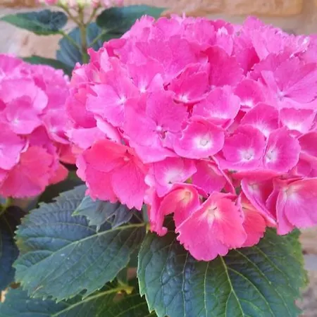 El Cuartelillo Viejo *