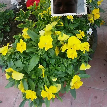 Εξοχικό σπίτι El Cuartelillo Viejo Polientes