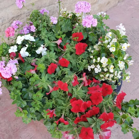 El Cuartelillo Viejo *