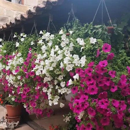 Εξοχικό σπίτι El Cuartelillo Viejo *