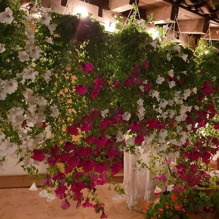 El Cuartelillo Viejo *