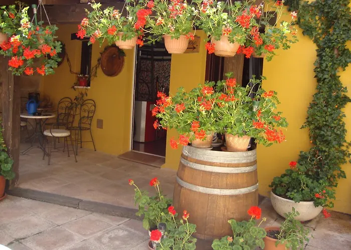 乡村民宿 爱库尔特里罗酒店