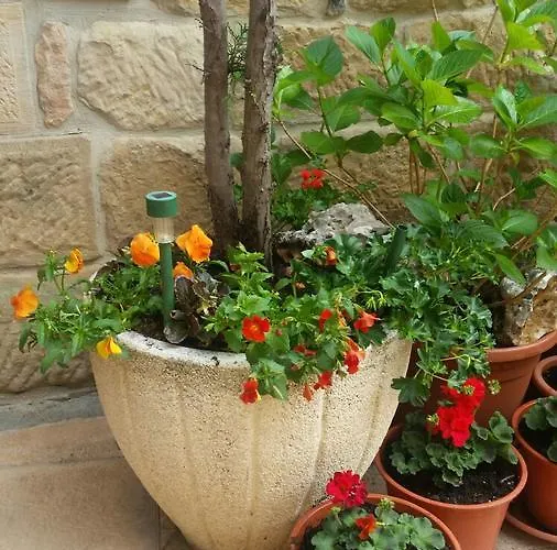 El Cuartelillo Viejo Lantställe Polientes