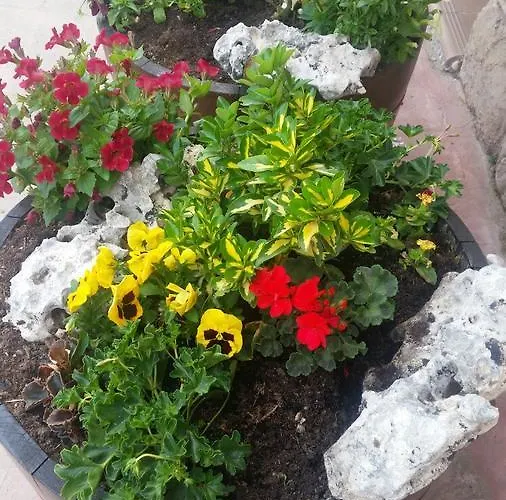 El Cuartelillo Viejo * Polientes