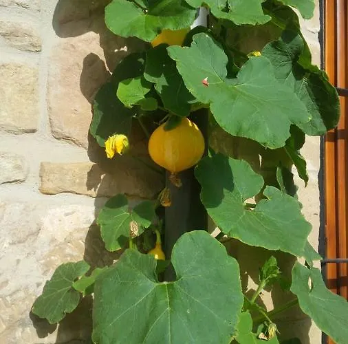 El Cuartelillo Viejo Lantställe