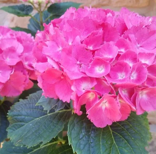 El Cuartelillo Viejo *