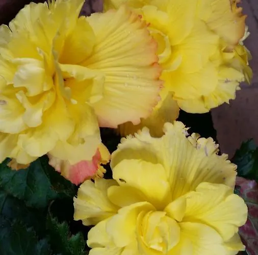 爱库尔特里罗酒店