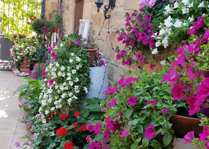 爱库尔特里罗酒店 乡村民宿