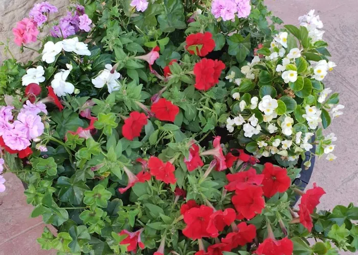 El Cuartelillo Viejo *