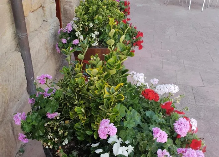 乡村民宿 爱库尔特里罗酒店