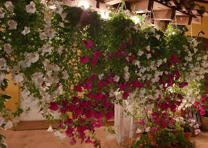 爱库尔特里罗酒店 *