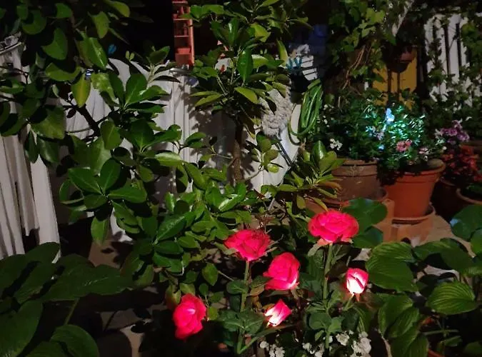 El Cuartelillo Viejo Polientes